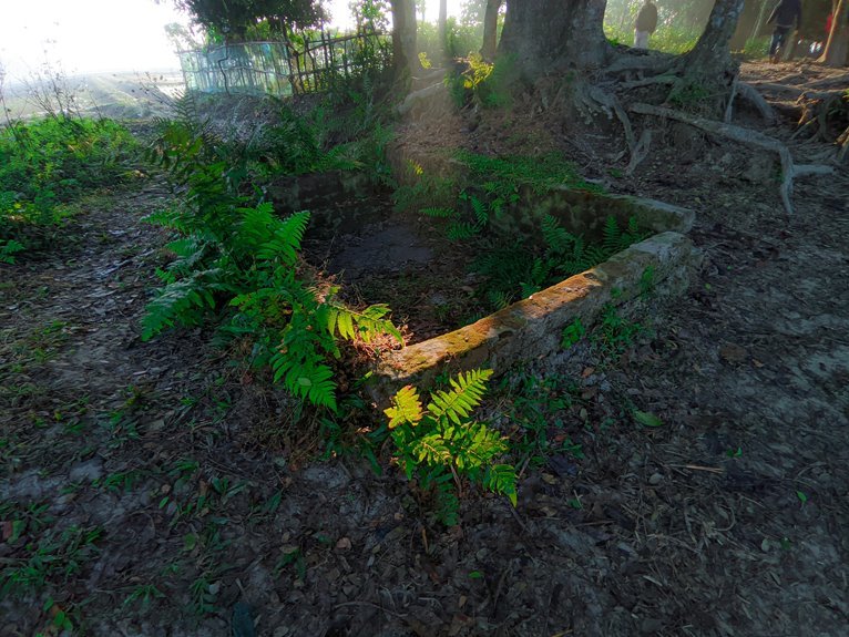 boost instagram followers fast