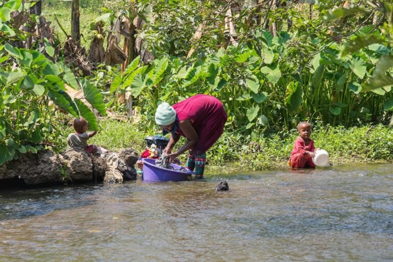 interaction and activity summary